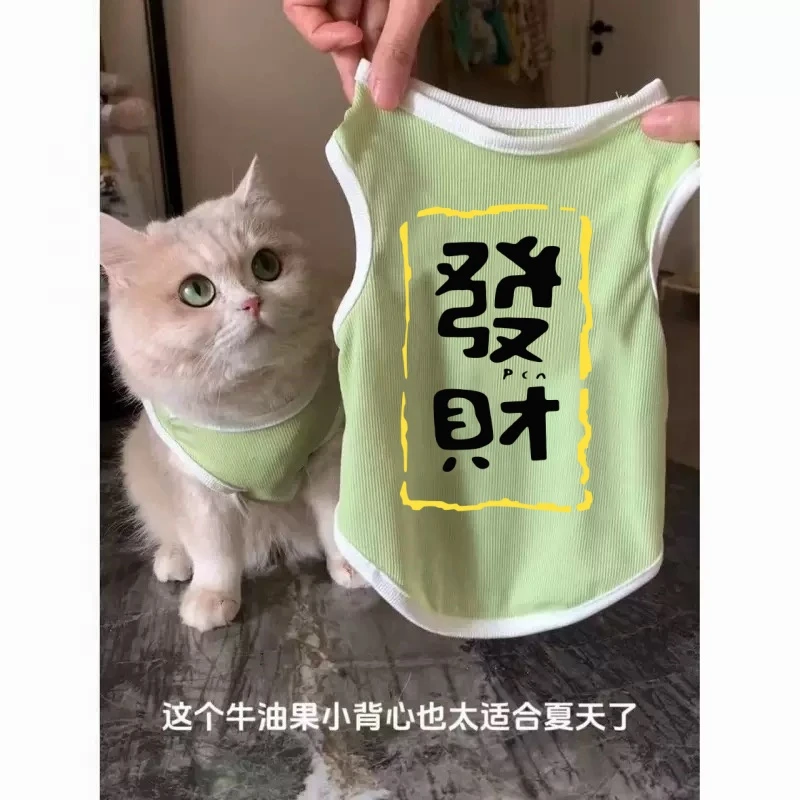 夏季宠物背心猫猫咪薄款雪纳瑞比熊博美贵宾泰迪小型幼犬狗狗衣服