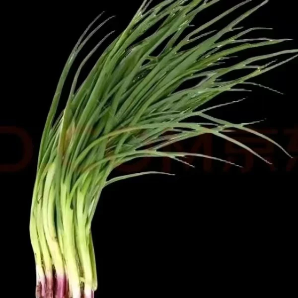 新鲜小葱加在购物车