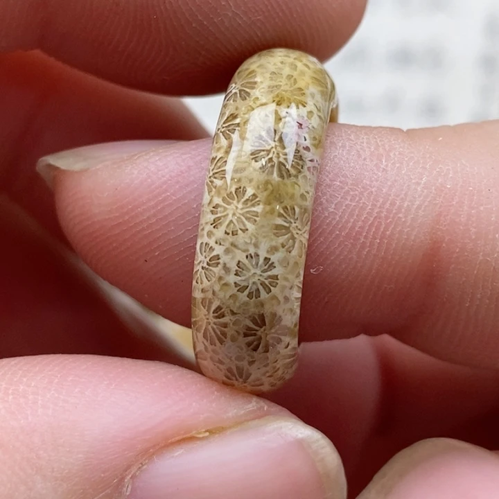 颈饰未镶嵌硅化珊瑚（珊瑚玉）