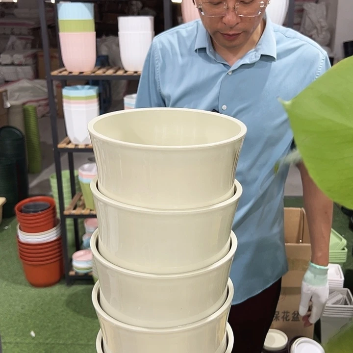 竹节18口16.8高17米色无托5只
