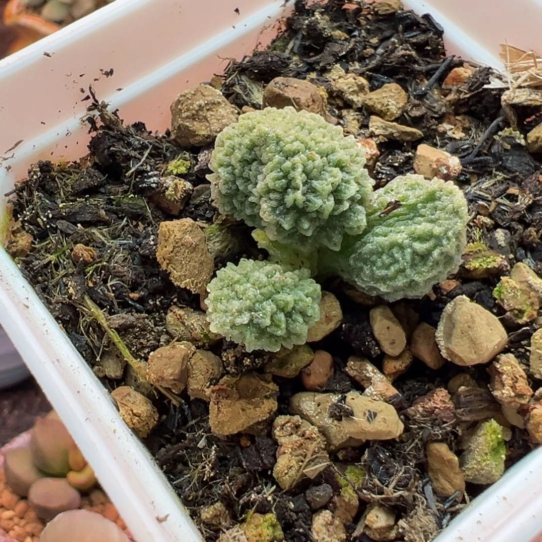 一物一拍，感谢支持