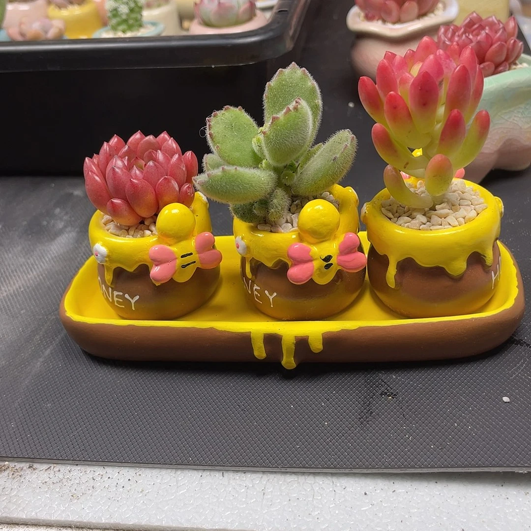 蜜蜂罐三件套红色