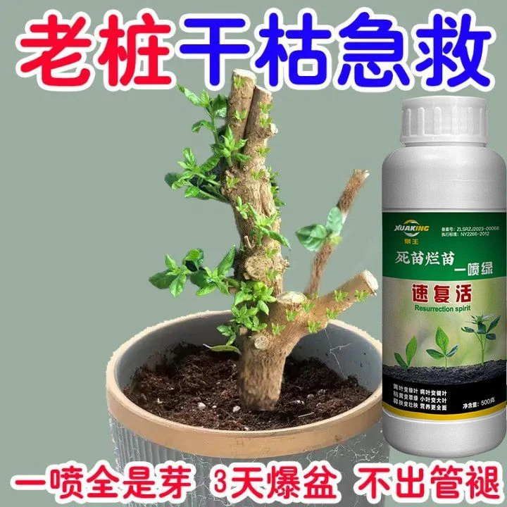 【新芽猛长】老桩催芽剂促芽僵苗快速发新芽防黄叶促花营养复活肥