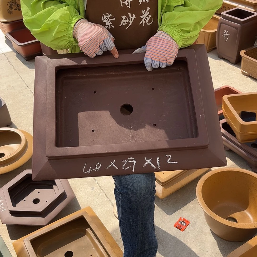 紫砂花盆盆景艺术