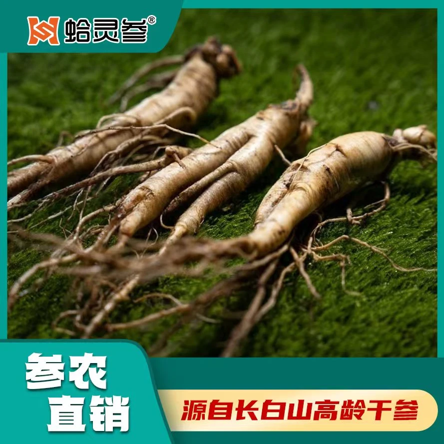 【活力唤醒】24味甄选滋补泡酒料男士滋补长白山林下参6斤瓶装