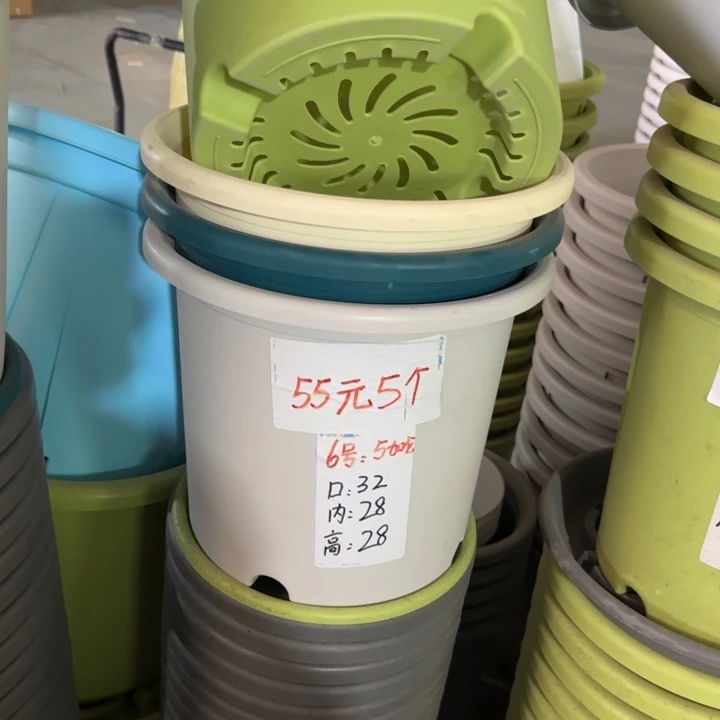 微瑕6#口径32无托果绿5个