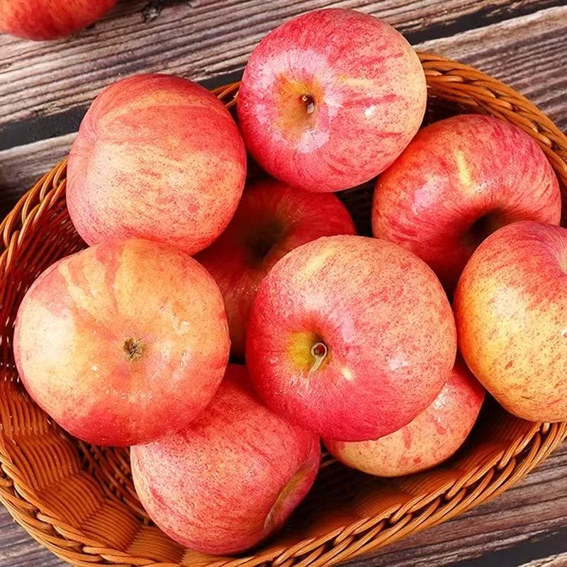 烟台栖霞产地直发红富士苹果新鲜美味