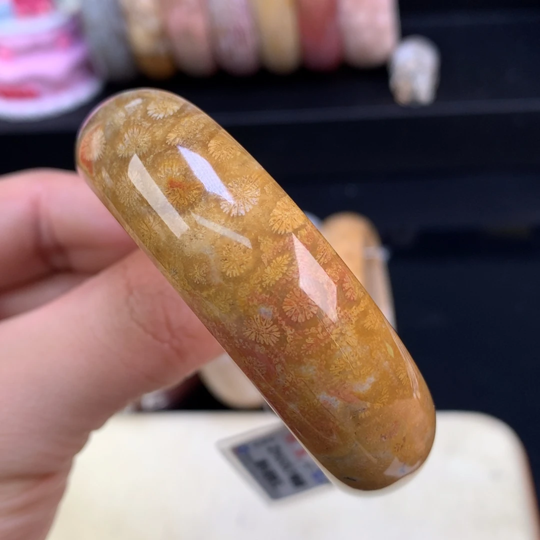 硅化珊瑚（珊瑚玉）未镶嵌颈饰64号55圈皮花花