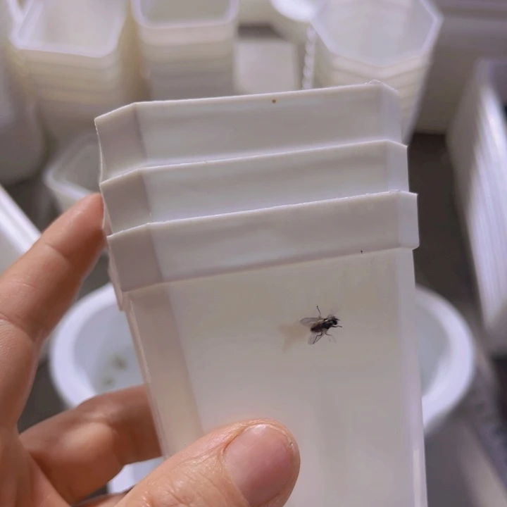 白方口7高7一组30