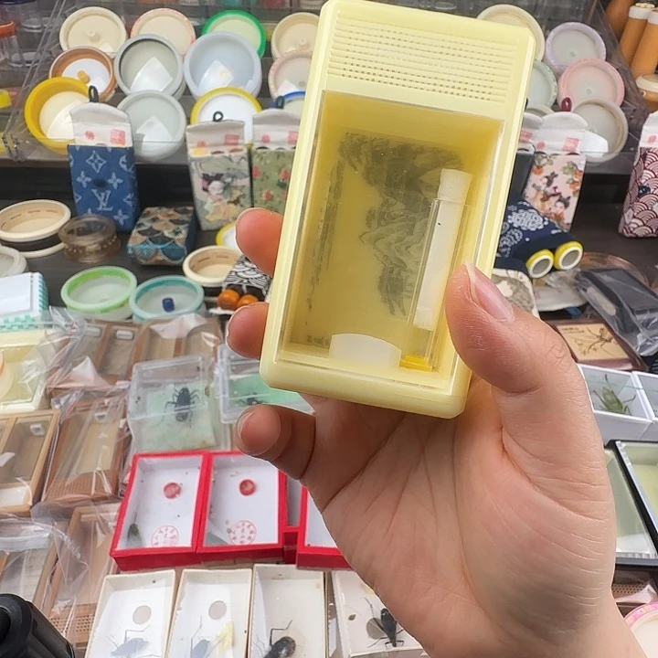 蟋蟀竹蛉金钟上下4抽盒子…………