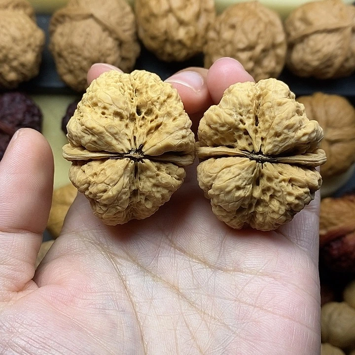 吊坠桃核蝴蝶蟾42尺