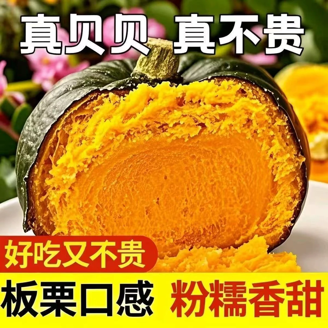 【净重4.5斤】内蒙古正宗沙地贝贝南瓜新鲜采摘粉糯香甜板栗味辅食