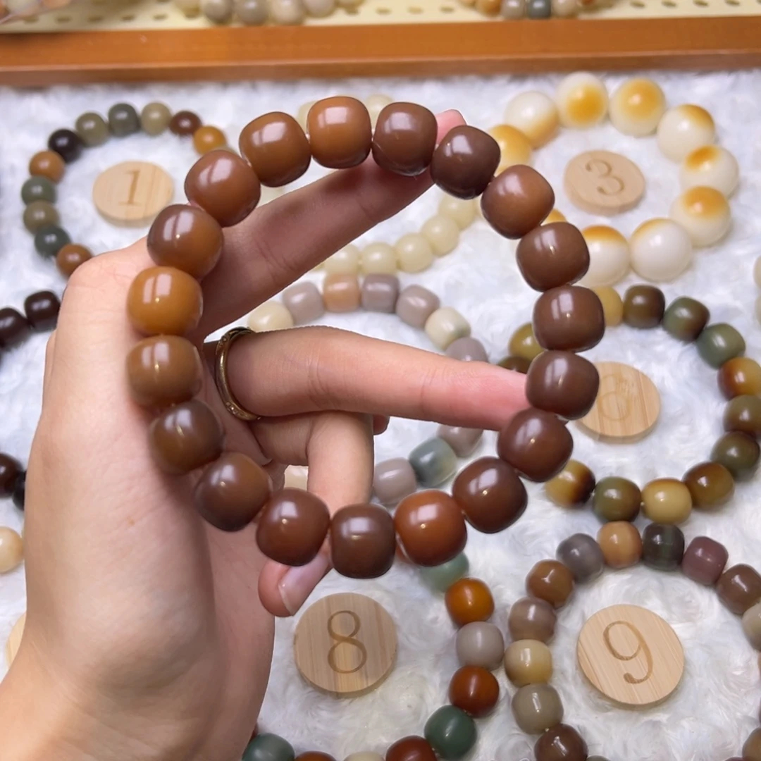 手串菩提根/象牙果卡13果子狸