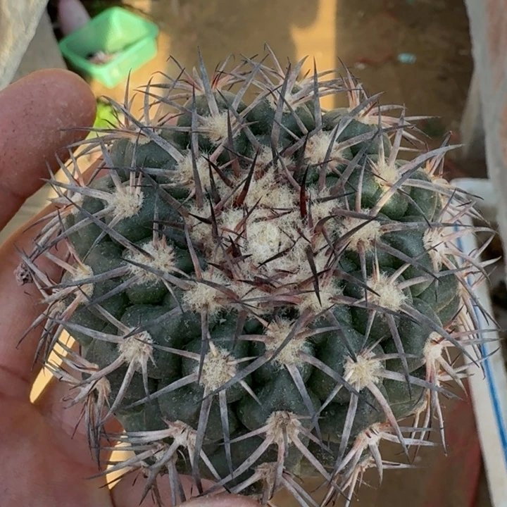 下播福利3222222222