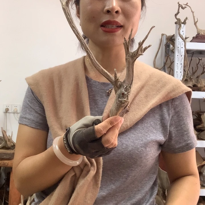 木太行崖柏毛料板根