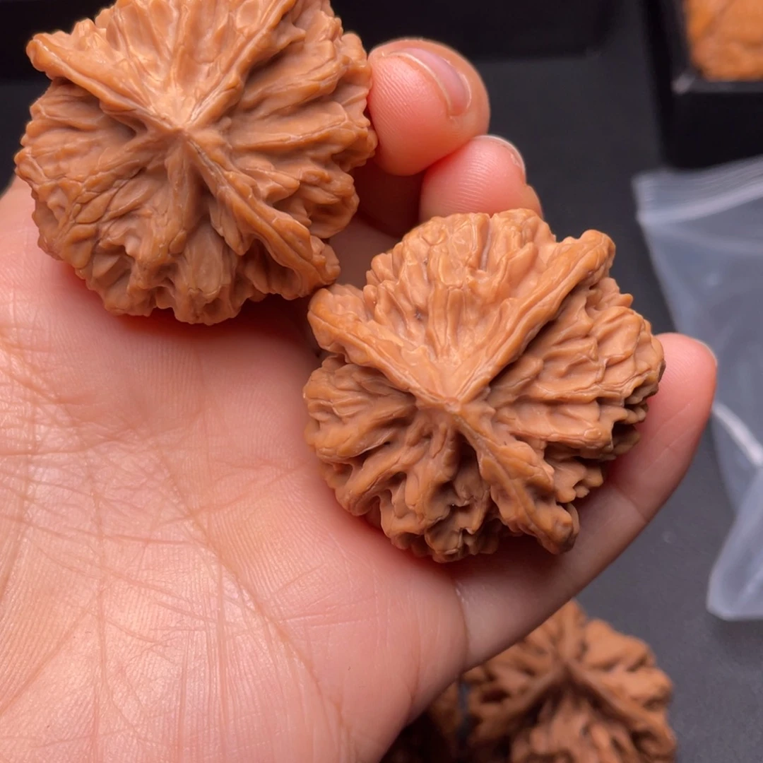 秦岭山脉文玩核桃