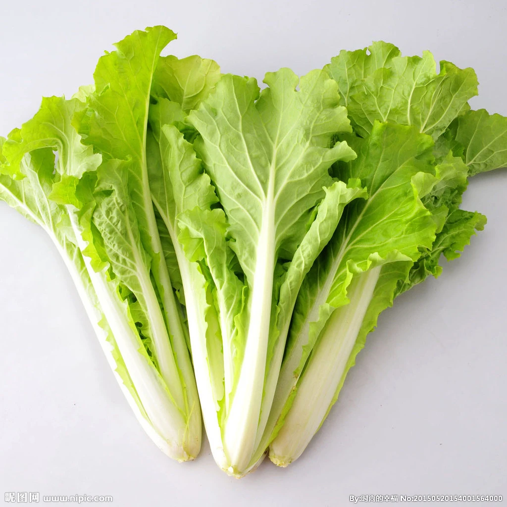 去根小白菜约250g/份