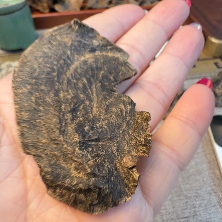 沉香摆件海南三亚沉水包头4.9克