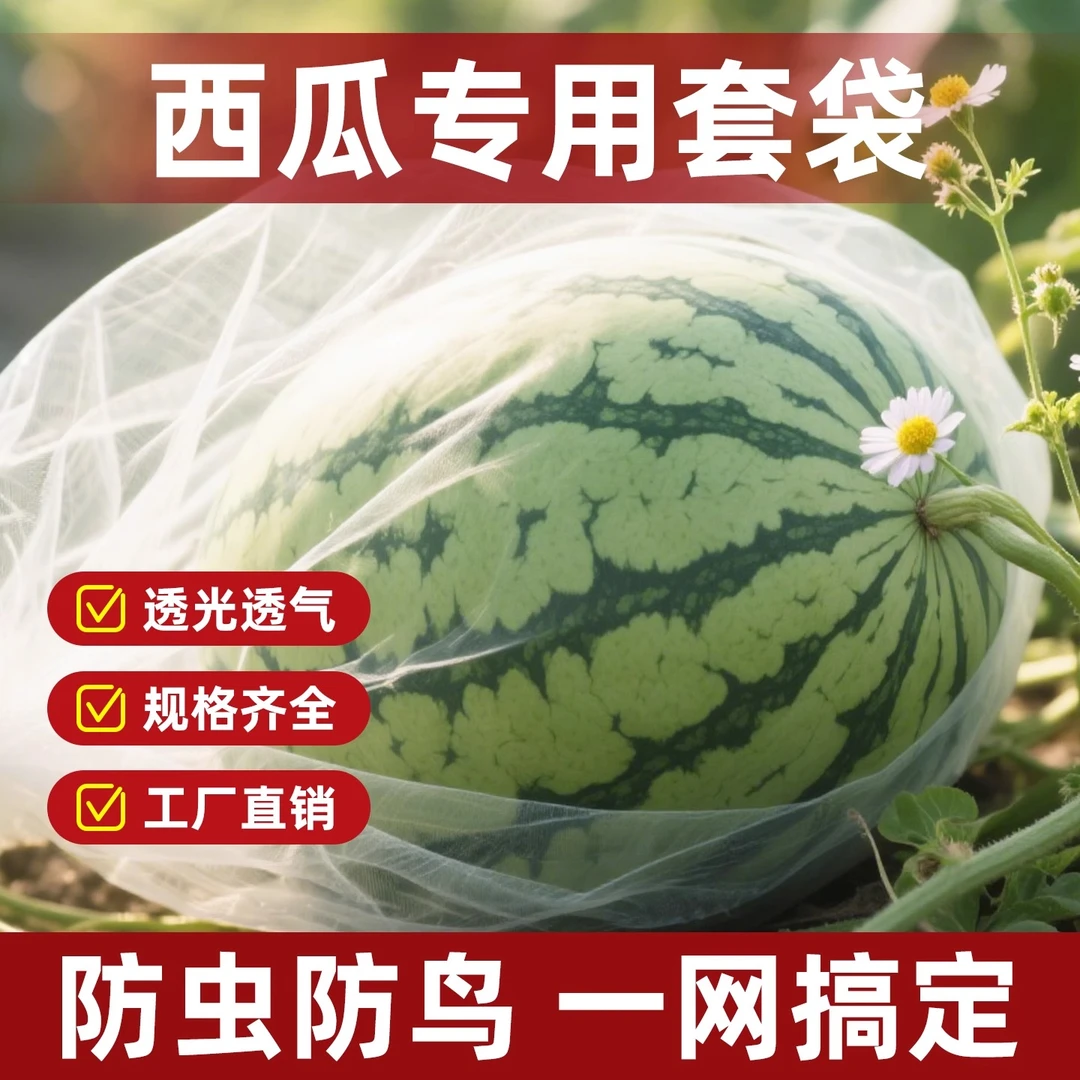 【透光透气】西瓜套袋防鸟防虫通用袋防果透气透光冬瓜水果瓜果套袋