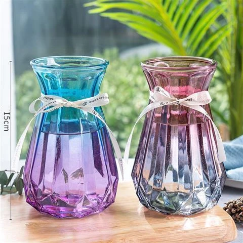 创意花瓶玻璃透明水养客厅摆件鲜花插花瓶北欧简约干花水竹花瓶