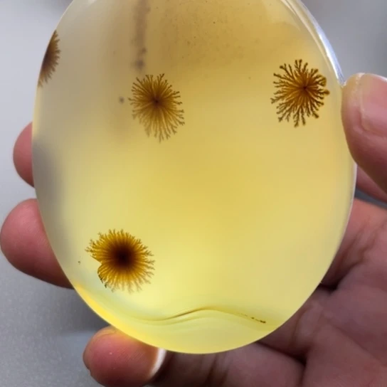 玛瑙/玉髓颈饰未镶嵌羽**缘