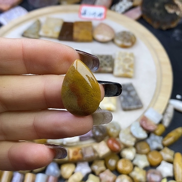 针钠钙石（海纹石）未镶嵌颈饰