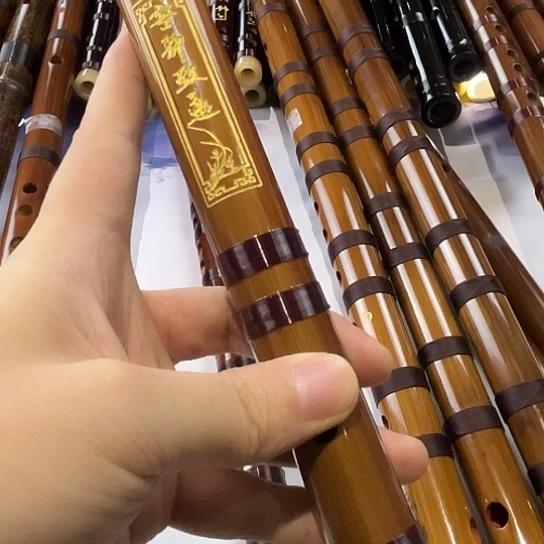 苦竹初学e调体验价