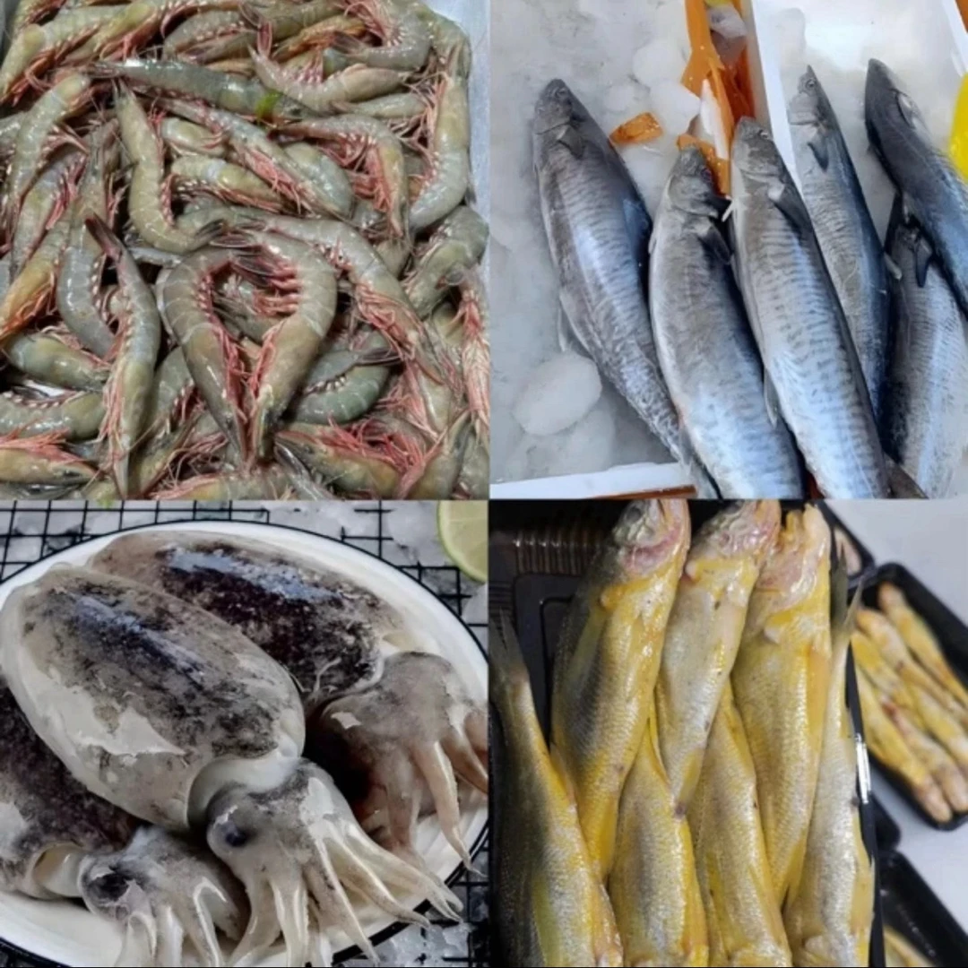 【第五网】网捕多种海鲜东海现捕（通货不挑拣）顺丰冷链