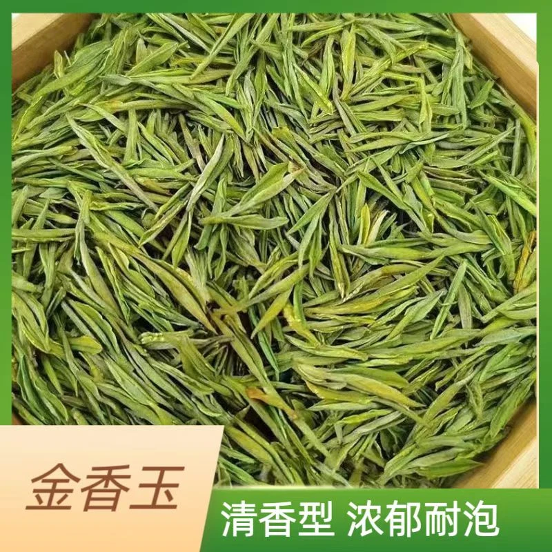 【主播推荐】新茶明前金香玉#2025年