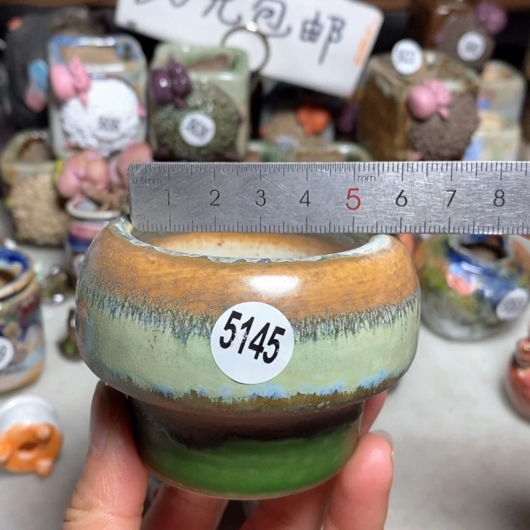 拍5送一个小礼物