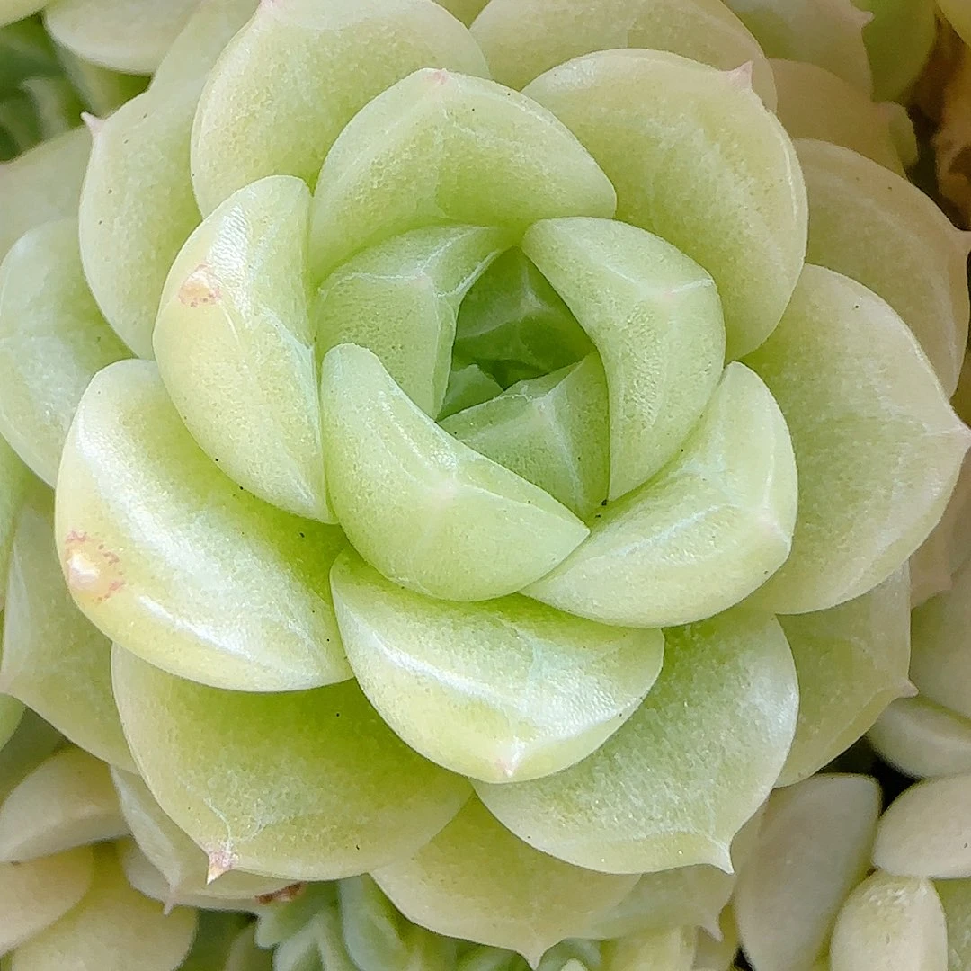 .***e【闪购商品】1003-70（ttp-28-2）