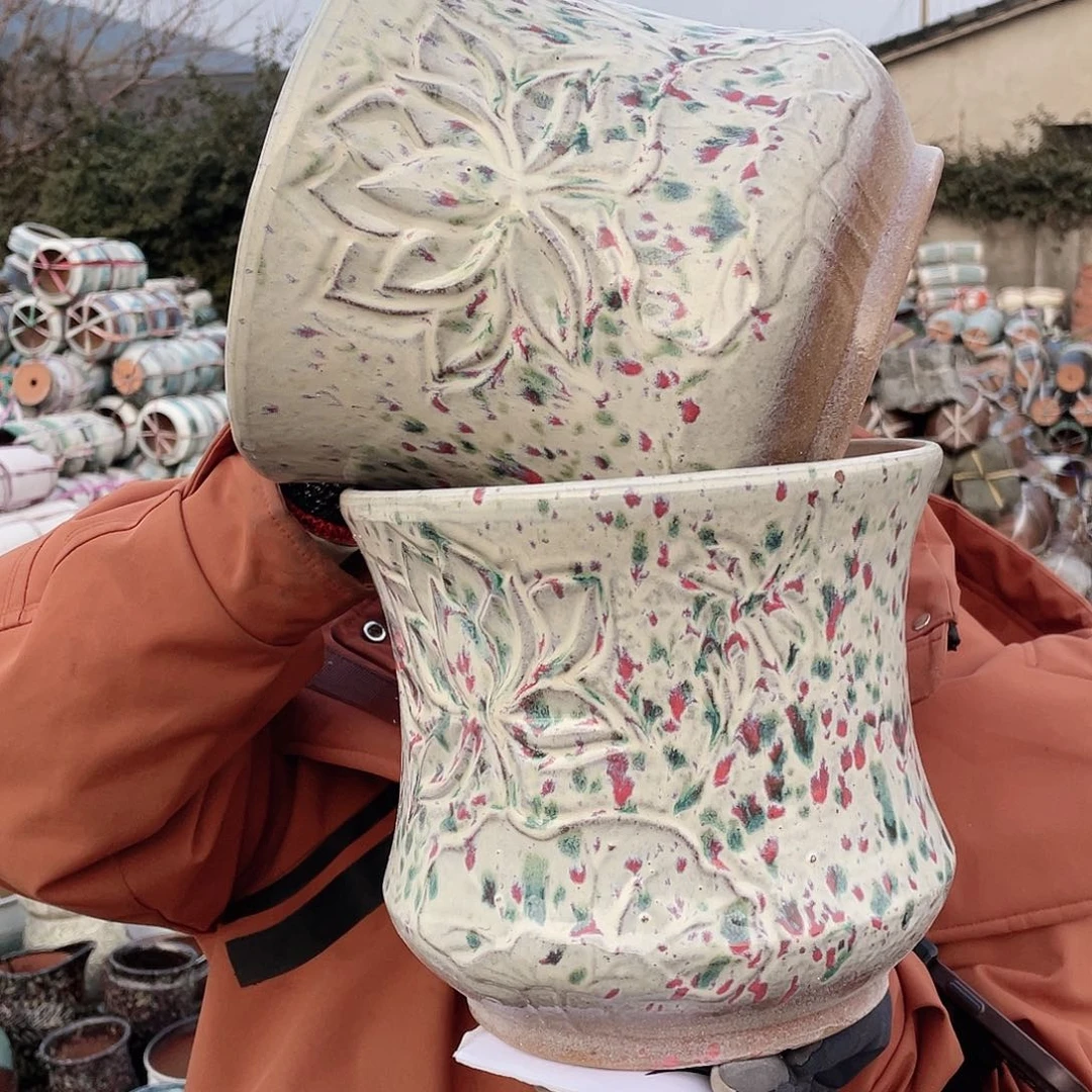 陶瓷王嫂花盆直播0219-黄竹节