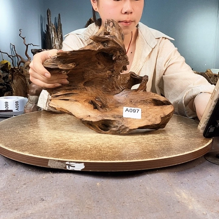 茶盏欧*克097株木随行的小根艺