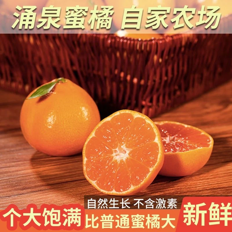 临海涌泉蜜桔早熟橘子宫川无核蜜橘整箱当季孕妇手剥新鲜水果CC