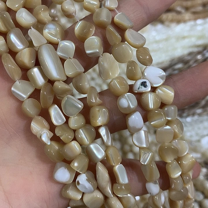 一条咖色马蹄螺随形