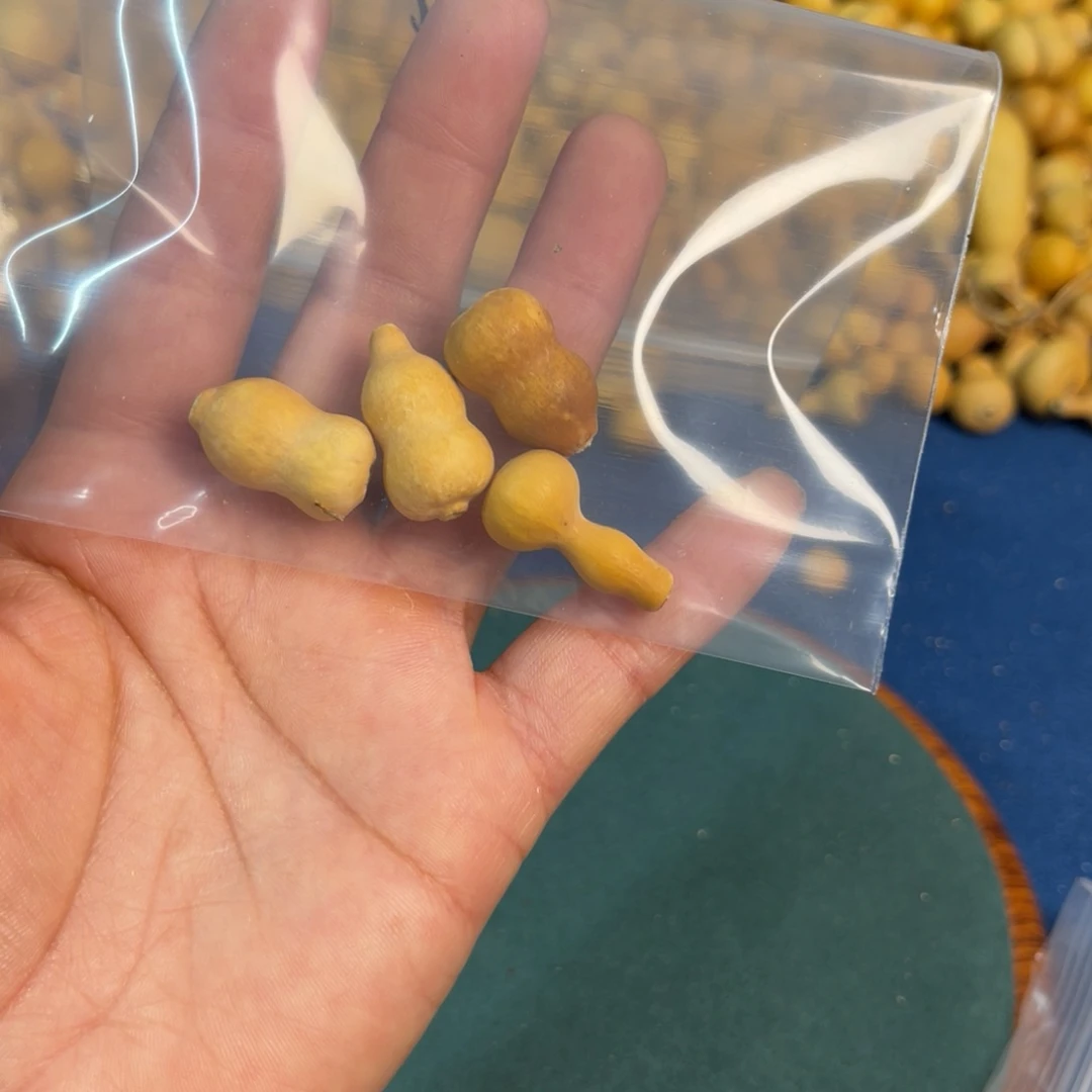 .葫芦葫芦葫芦葫芦葫芦
