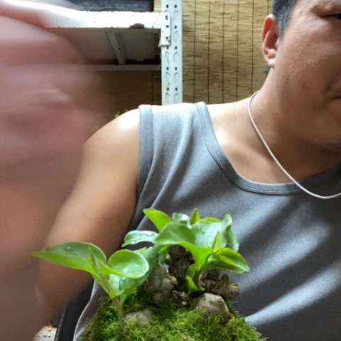 红陶程**一物一拍所见即所得227