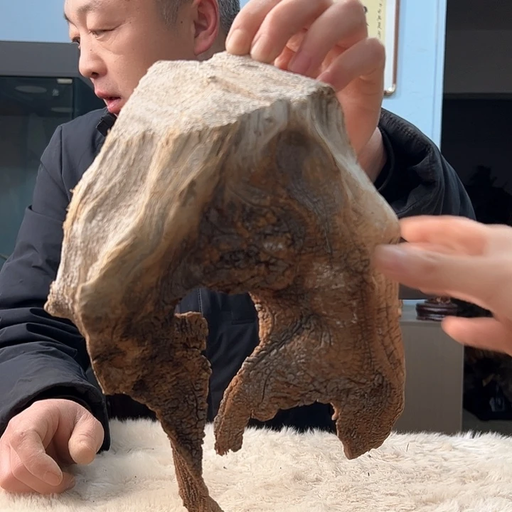 柏木四***༨我们的生活也是如此的丰富