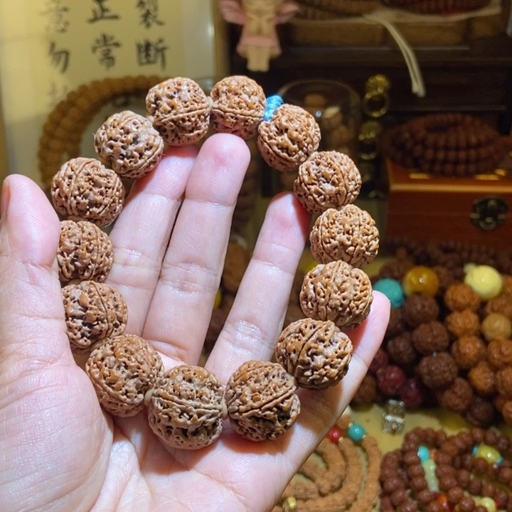 吊坠金刚菩提205原籽蓝绳一物