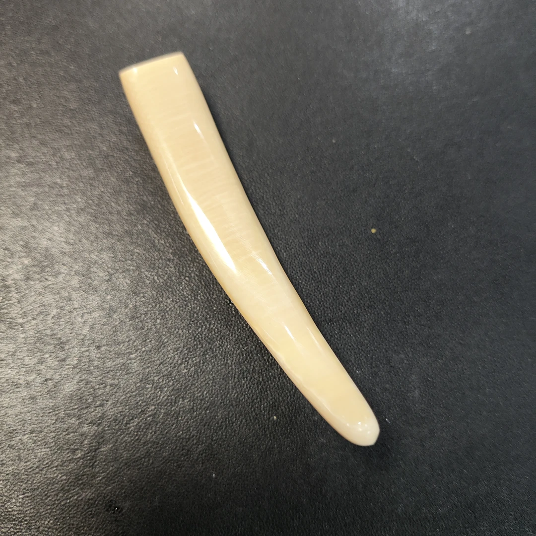 猛犸牙尖约8.5克M1063