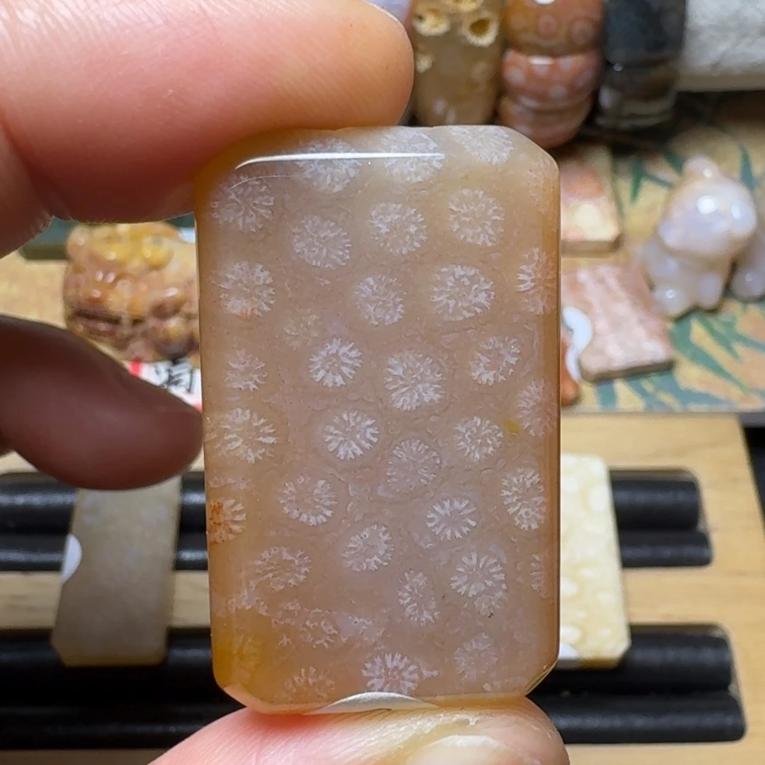硅化玉纯天然有机玉石保真色未镶嵌