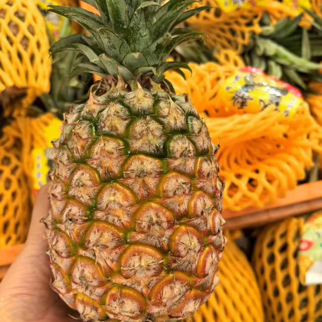 金钻凤梨一个1.2到1.5斤左右嘎嘎好吃