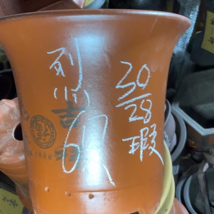 周深周深周深周深周深