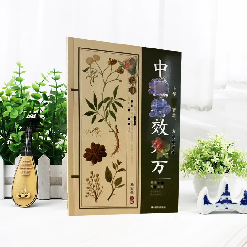 简单实用民方验方智慧书籍家庭必备书籍a商品图