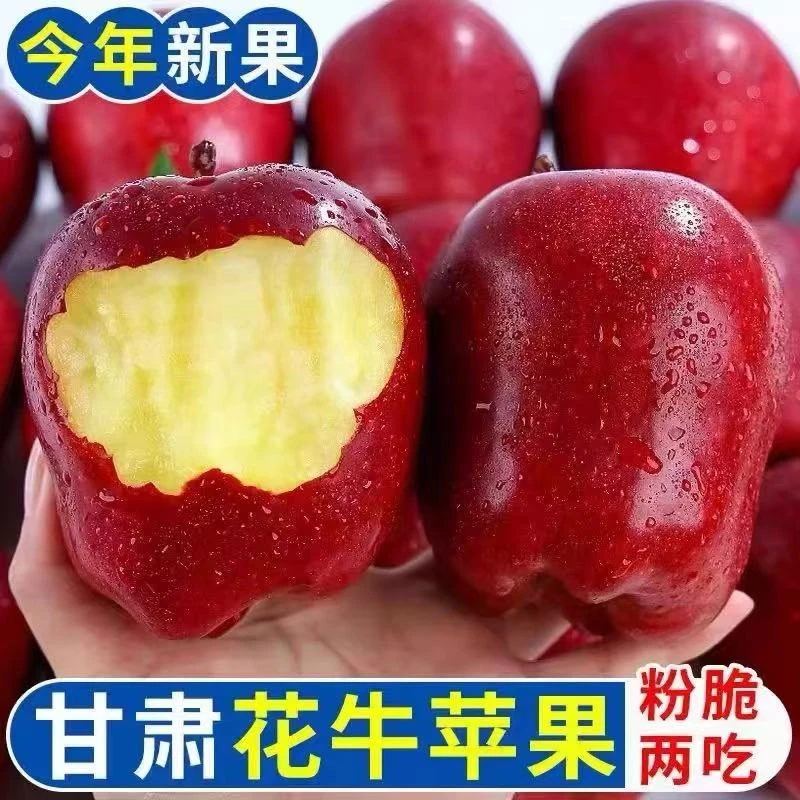 甘肃天水花牛苹果当季新鲜水果脆粉两吃香甜多汁黑卡蛇果苹果YJ2