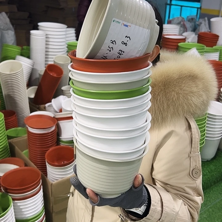 正品矮陶口15高11白色带托10只