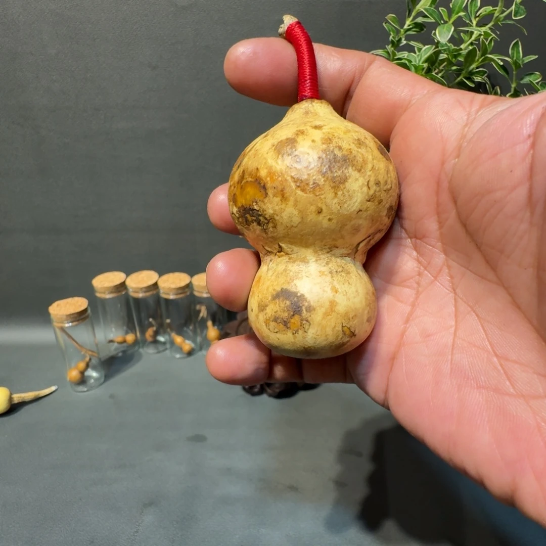 G***刻嘎嘎嘎嘎嘎嘎嘎嘎嘎