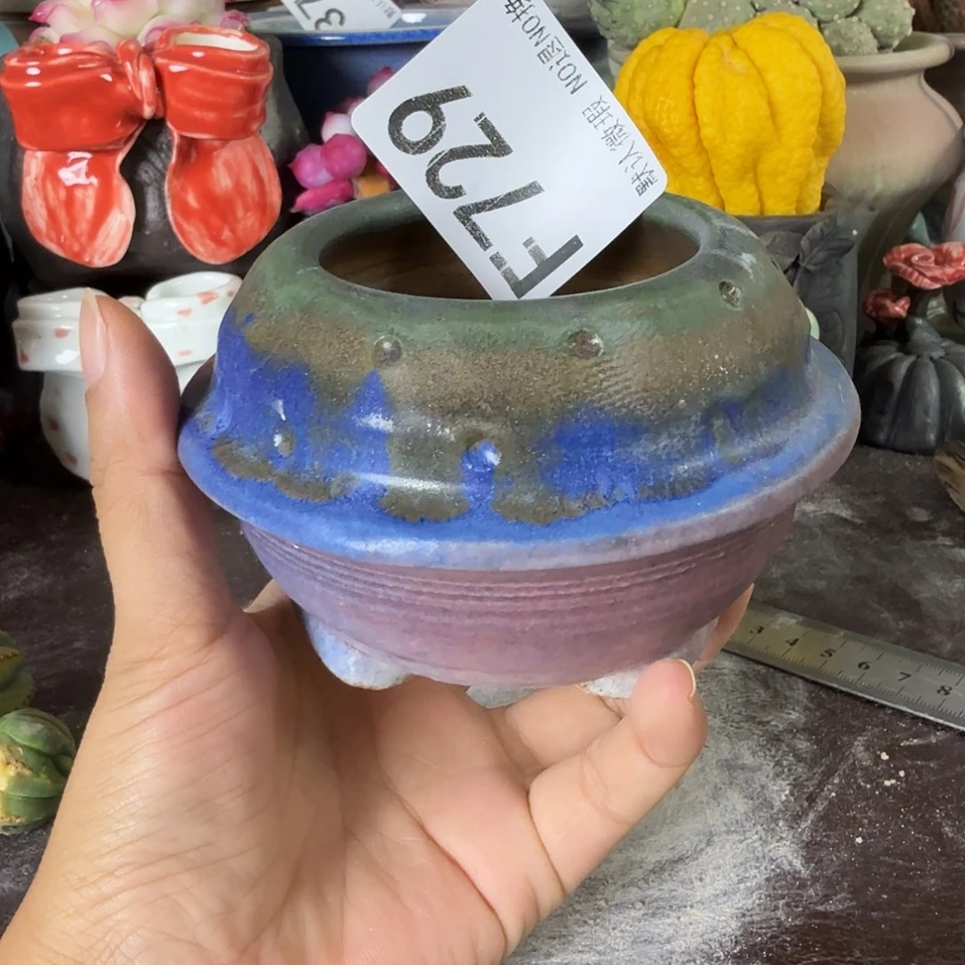 重庆小燕子欢迎大家729
