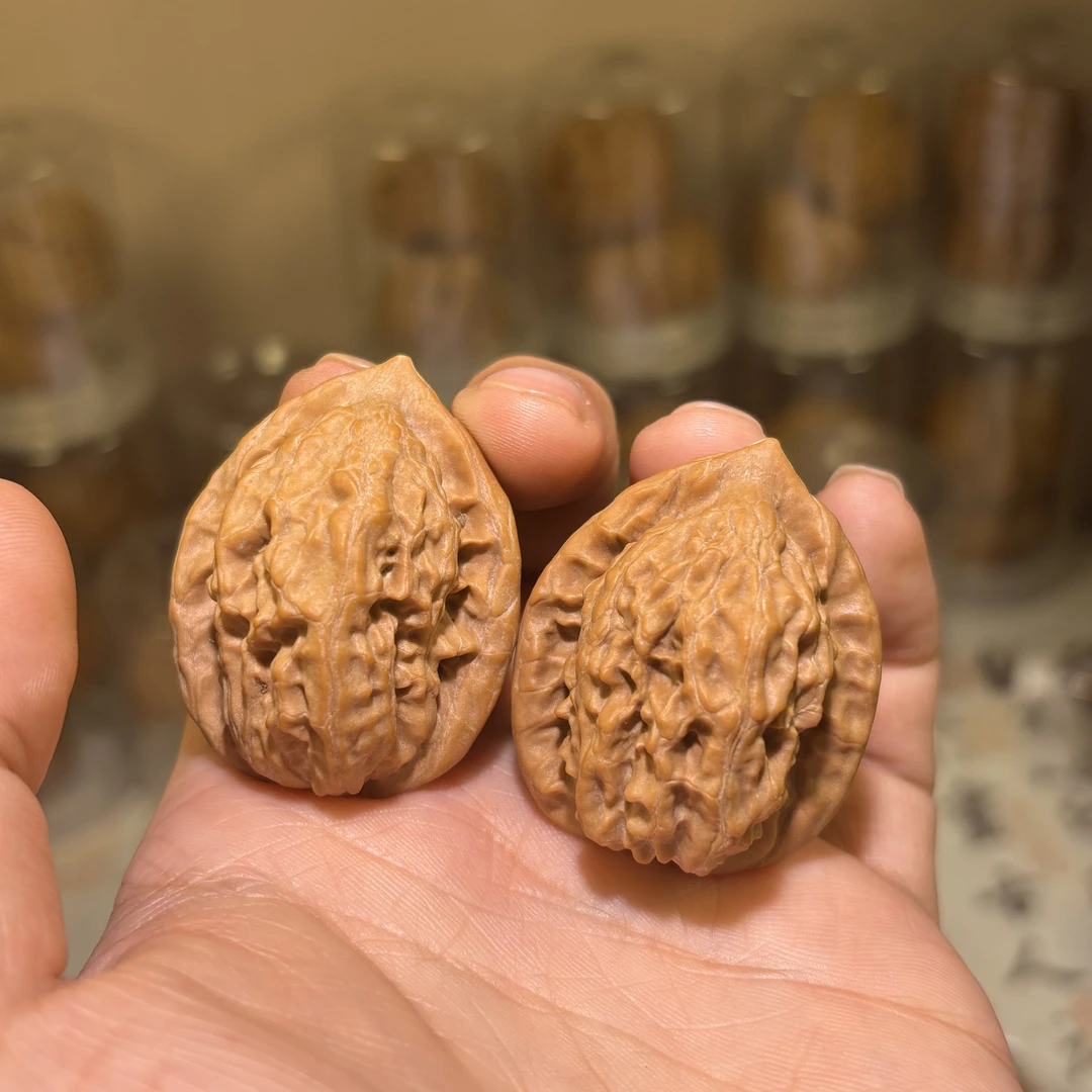 高端小众大红袍狮子头