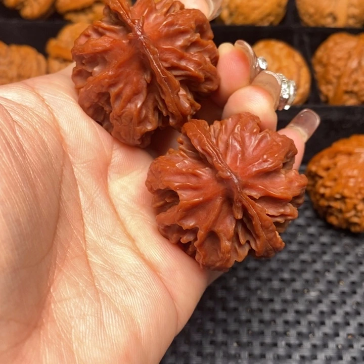 秦岭野生文玩核桃33